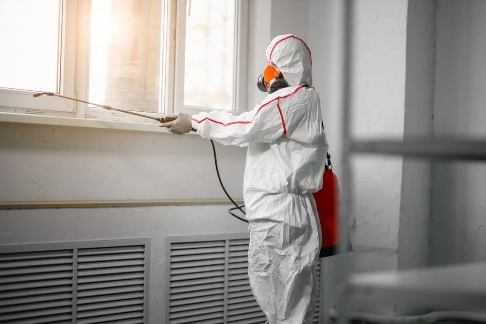 Professional mold remediation services in Lorton, VA